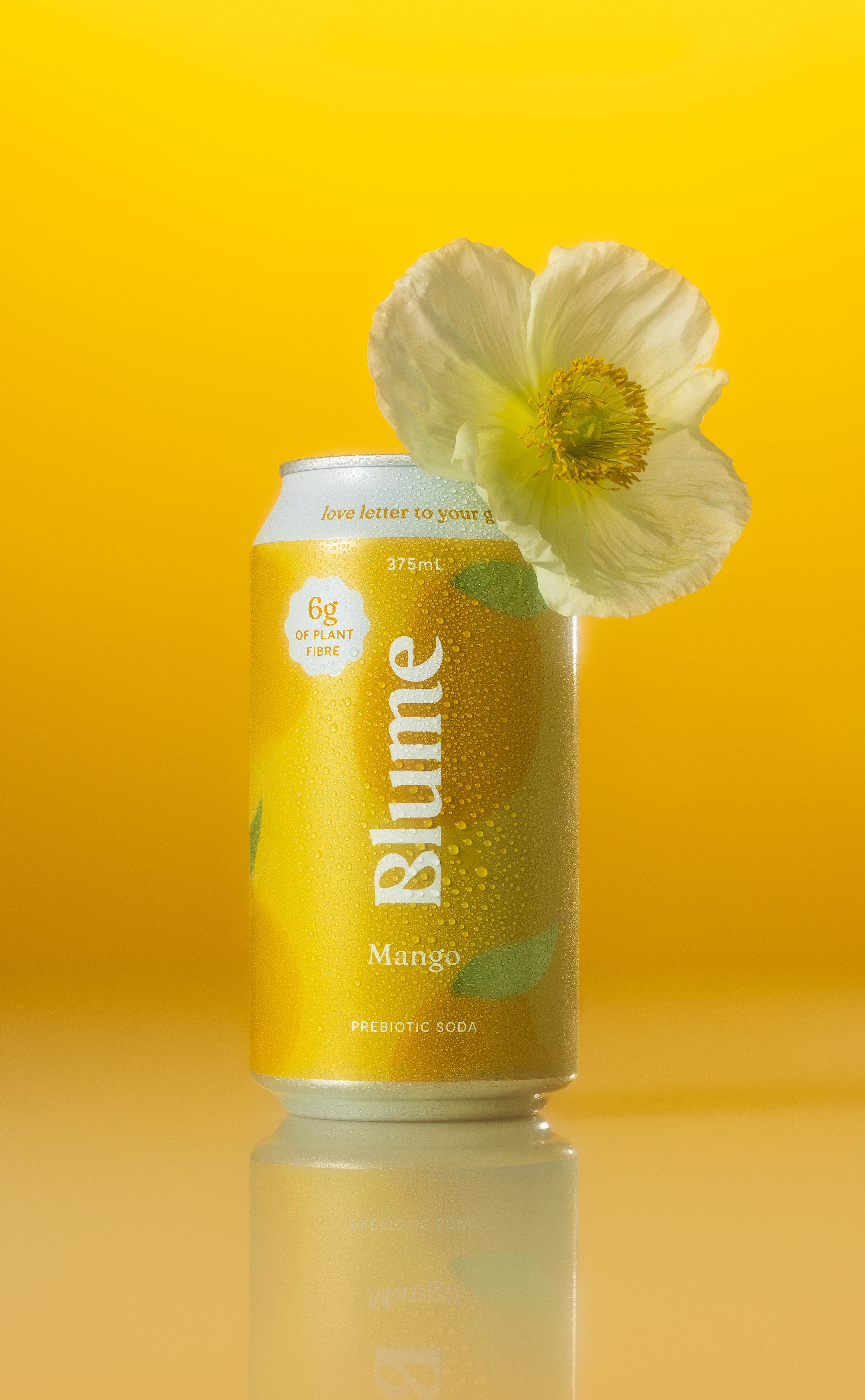 Mango Prebiotic Soda 12-pack