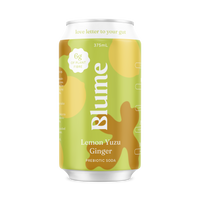 Lemon Yuzu Ginger Prebiotic Soda 12-pack